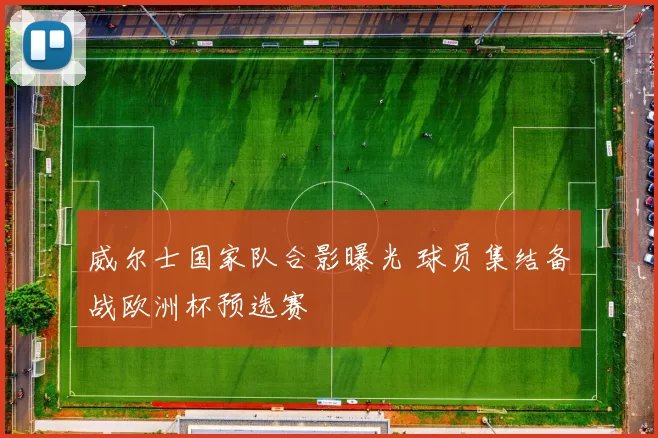 威尔士国家队合影曝光 球员集结备战欧洲杯预选赛