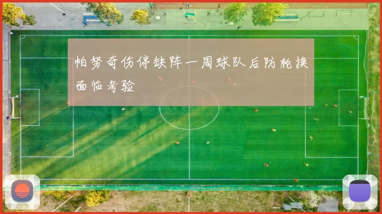 帕努奇伤停缺阵一周球队后防轮换面临考验