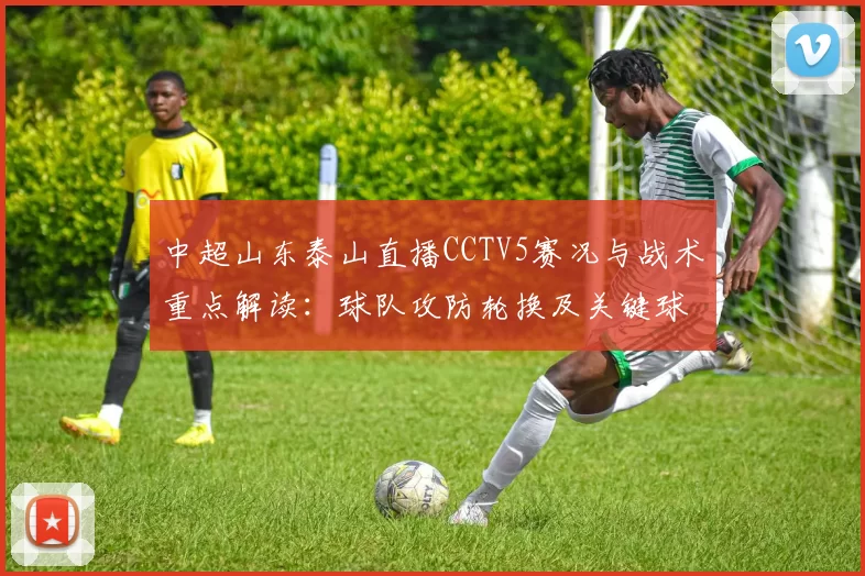 中超山东泰山直播CCTV5赛况与战术重点解读：球队攻防轮换及关键球员出场安排
