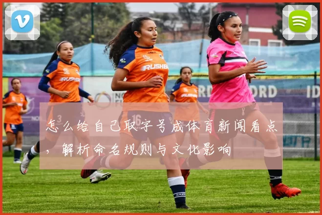 怎么给自己取字号成体育新闻看点，解析命名规则与文化影响