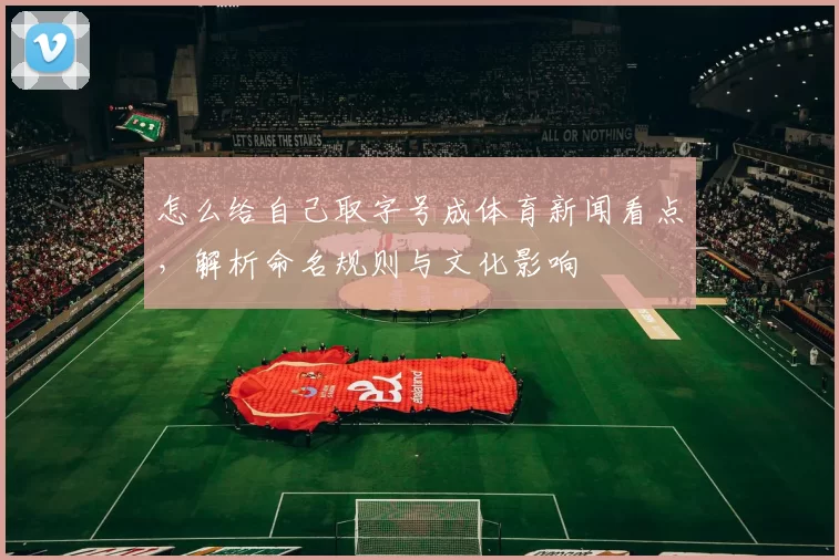 怎么给自己取字号成体育新闻看点，解析命名规则与文化影响