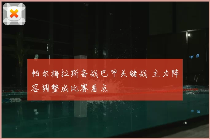 帕尔梅拉斯备战巴甲关键战 主力阵容调整成比赛看点