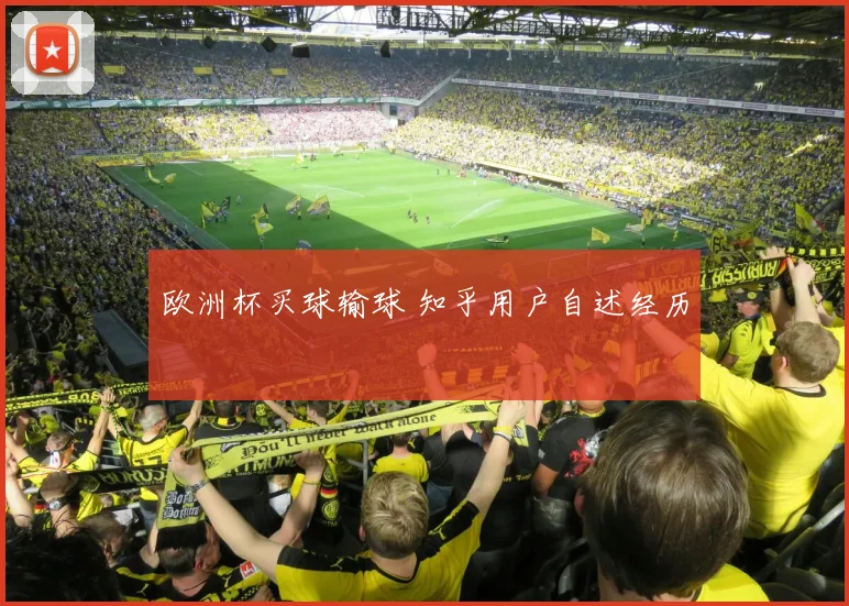 欧洲杯买球输球 知乎用户自述经历